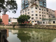 -晓港公园