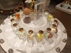 -香遇沙龙香水·调香·团建