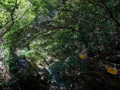 -牛鱼嘴原始生态风景区