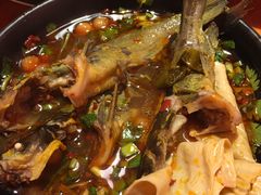 -三道苗苗鱼·美蛙黄辣丁(八里店)
