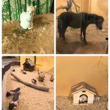 魔都室内动物园🐰～溜娃的好去处✌️