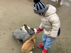 -前小桔亲子创意农场·草莓采摘·露营烧烤