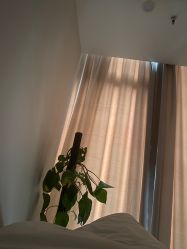 -贞禾医美·连锁