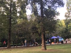 -宝岩生态观光园