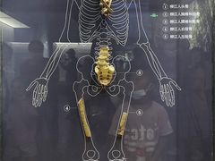 -柳州白莲洞洞穴科学博物馆