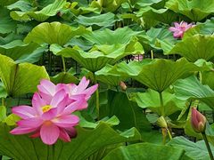-长春净月潭风景名胜区