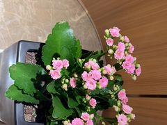 -和记小菜(名品店)