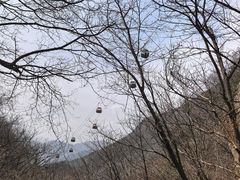 -王顺山国家森林公园