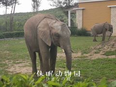 -哈尔滨北方森林动物园