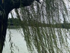 -杏花村文化旅游区