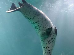 -青岛海底世界-水族馆
