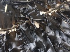 -西涌国际滨海旅游区