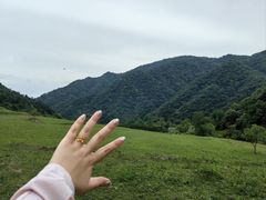 -鑫嘉汇购物中心