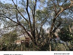 -杭州半山国家森林公园