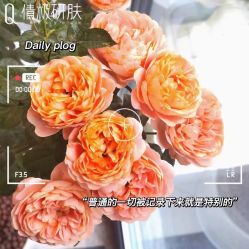 -倩极·精研痘敏肌管理