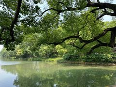 -西溪国家湿地公园