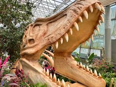 -沈阳植物园