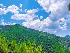 -秦岭风景区