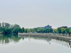 -溱湖国家湿地公园