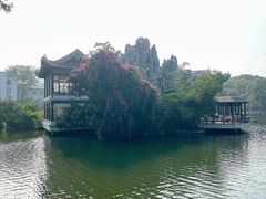 -荔湾湖公园
