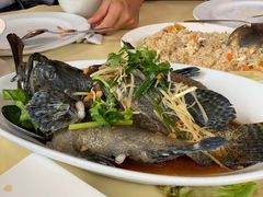 老虎斑-真浪花园海鲜餐馆