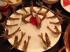 -锦官会