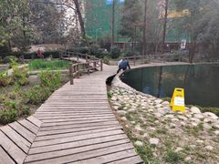 -成都市活水公园