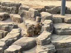 -苏州上方山国家森林公园