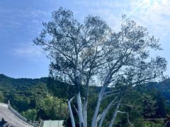 -潭柘寺景区