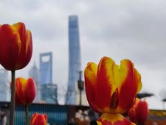 -外滩