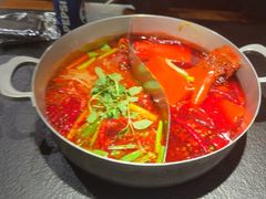 -滇牛云南火锅(桂林路店)