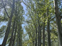 -河南省黄河迎宾馆