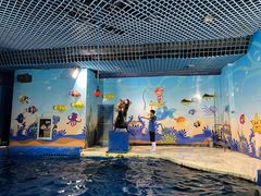 -太平洋海底世界