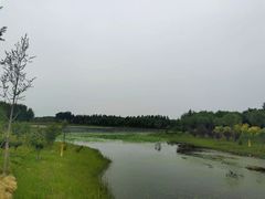 -东郊湿地公园