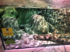 -沈阳海洋探索中心