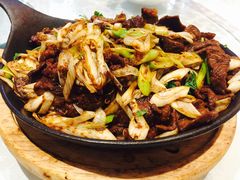 -金蝉食府(维吉奥广场店)