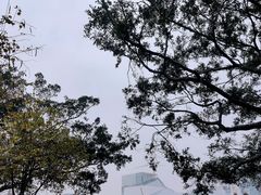 -洲头咀公园