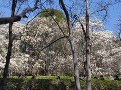 -北京西山国家森林公园