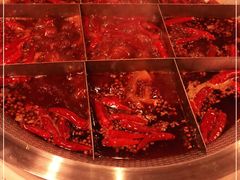-厂花素芬九宫格火锅(益州大道店)