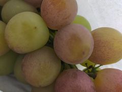 -马陆小张葡萄园农家乐