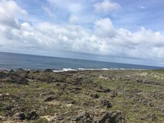 -龙坑生态保护区