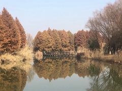 -苏州太湖国家湿地公园