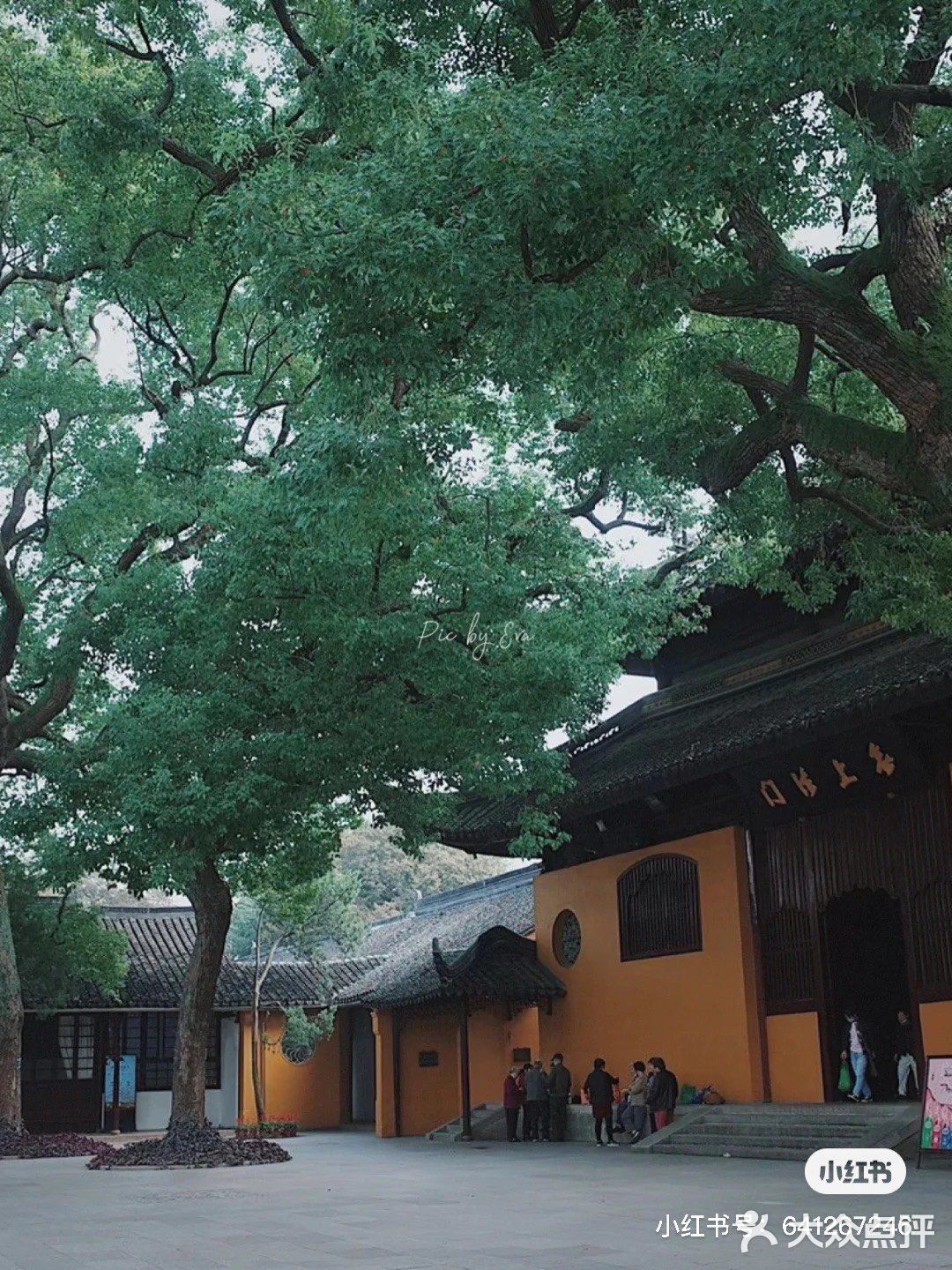 苏州｜入夏需静心，来西园寺抄经吃素禅修