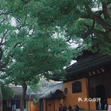 苏州｜入夏需静心，来西园寺抄经吃素禅修