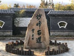 -阳台山自然风景区