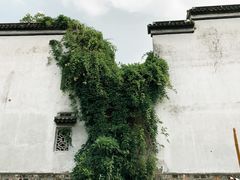 -八珍手工水饺·妈妈的爱(传芳巷店)