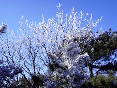 -鲁山国家森林公园