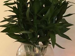 -梵舍·沙浴养生SPA