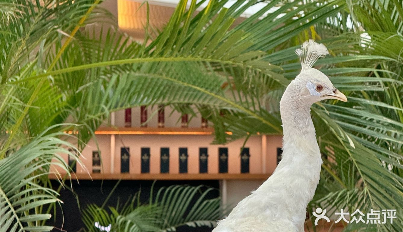 度假模式开启✈️