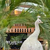 度假模式开启✈️